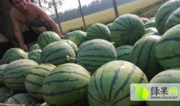 淄博吃瓜爆料事件最新,揭秘背后真相，网络舆论漩涡中的城市风云